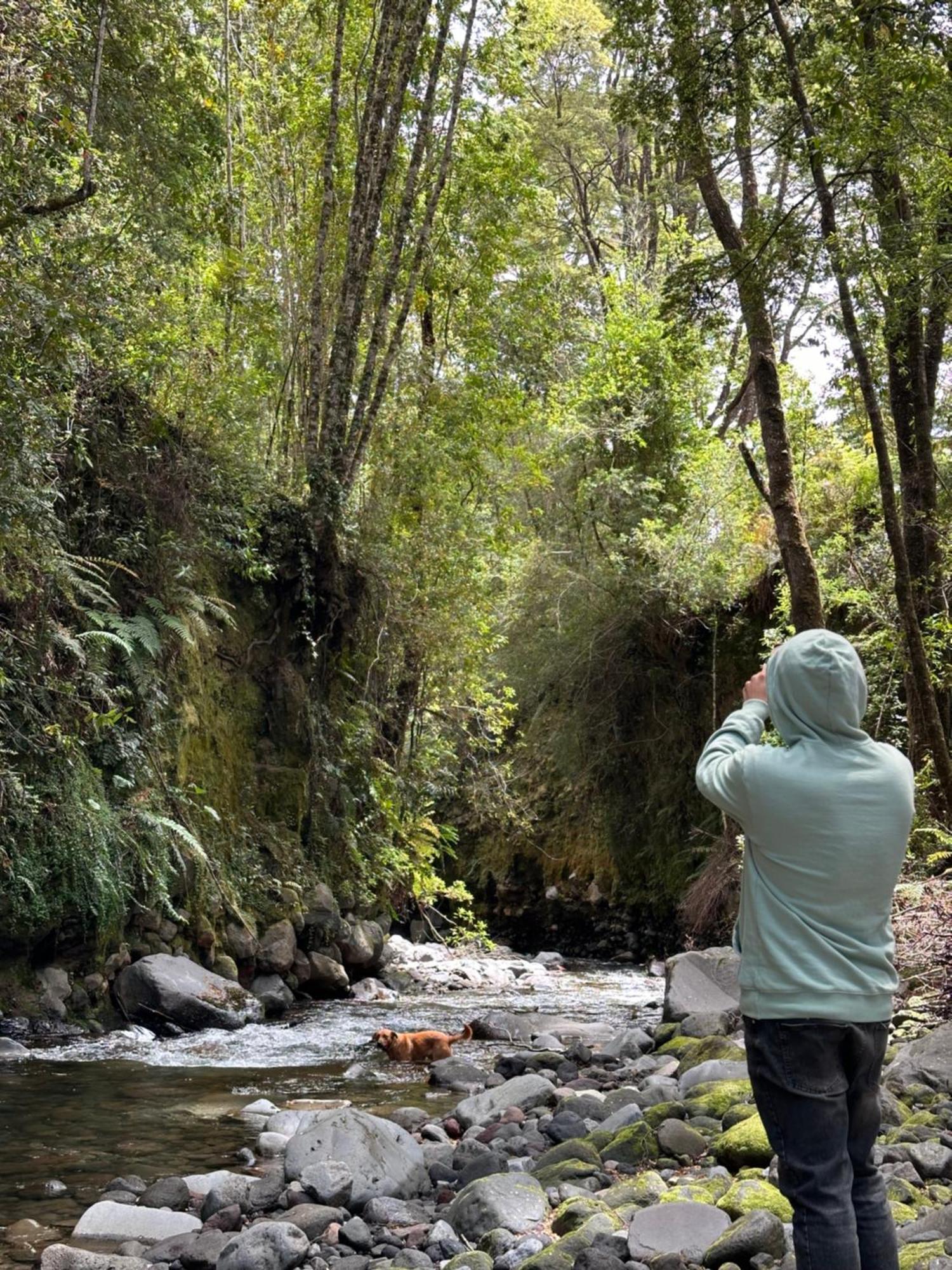 Glamping Rio Sur Villa Puerto Varas Buitenkant foto